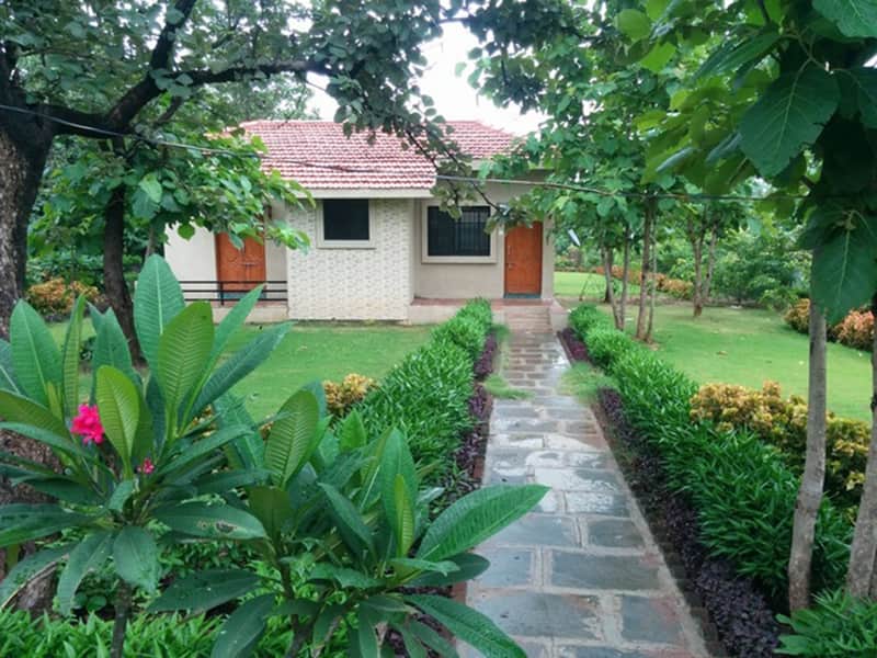 Outdoor View