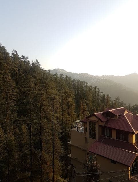 Dev Homestay