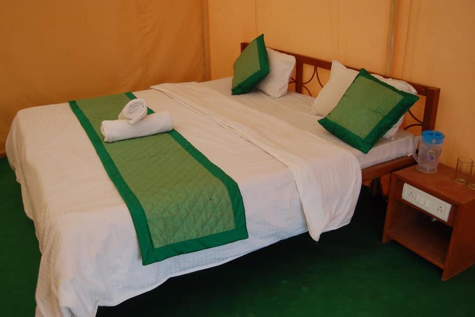 Safari Nights Resort