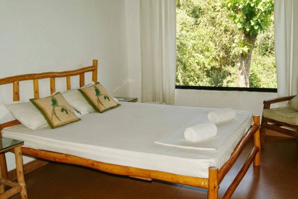 Jungle Hostel