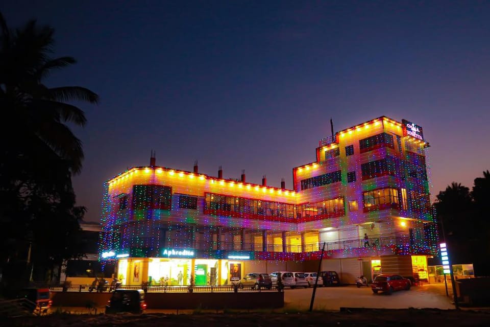The Rosetta Castle, Wayanad