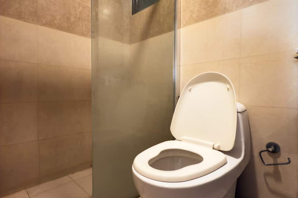 Hotel Royal Palm - A Budget Hotel in Udaipur