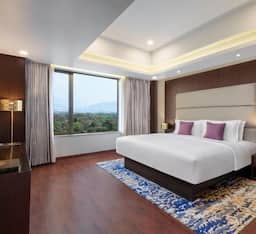 Superior Room King Bed