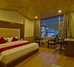 Superior Room with View