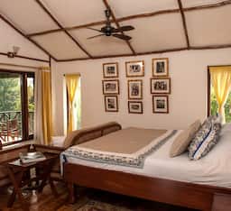 Jungle Lodge