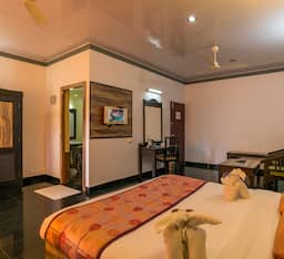 Green View Non AC Without Balcony