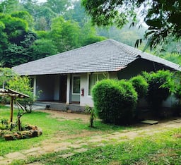 Brook With Garden View
