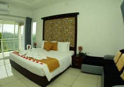 Premium Valley View Room