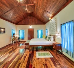 Luxury Villa