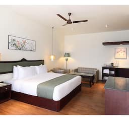 Premium Road View Room