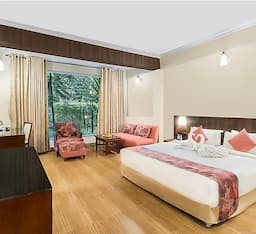 Luxury Room