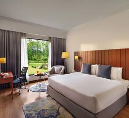 Deluxe Room King Bed