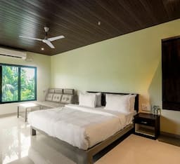 Forest room