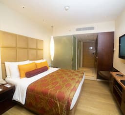 Superior Room Queen Bed