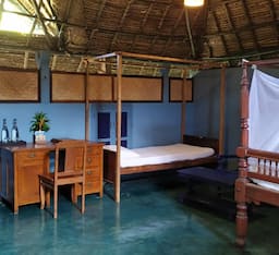 Eco cottage - Beach side ( Non A/c )
