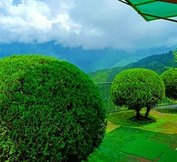 Rooms with Mountain View