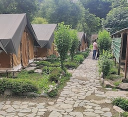 Jungle Inn With Shared Washrooms