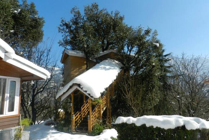 Tree House Cottages In Manali Book Room Night