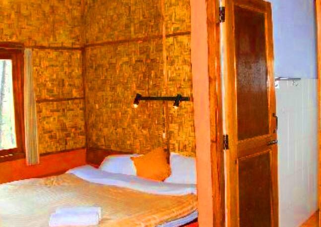 Chestnut Grove Himalayan Lodge In Chaukori Book Room 3750 Night