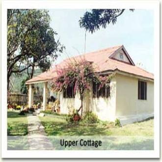 Tg Stays Mr Naveen Bhandari Darang Tea Estate In Kangra Book Room Night Darang tea estate is an accommodation in kangra. tg stays mr naveen bhandari darang tea