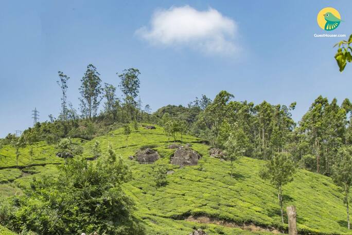 Zina Cottage In Munnar Book Room Night