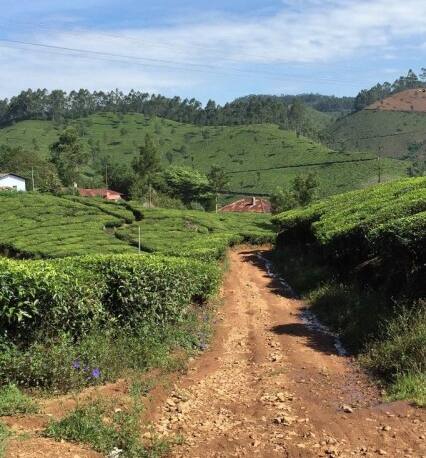 Zina Cottage In Munnar Book Room Night