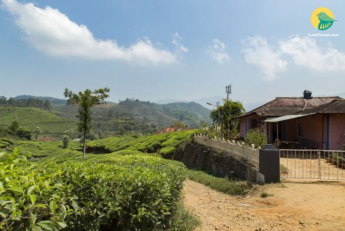 Zina Cottage In Munnar Book Room Night