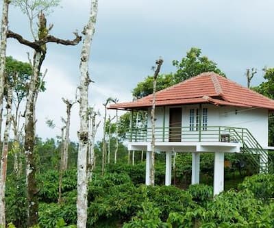 https://imgcld.yatra.com/ytimages/image/upload/t_hotel_yatra_city_desktop/v1564054623/Hotel/Wayanad/00048745/2b63a9a6399c11e598e90022195573b9_OFfVCp.jpg