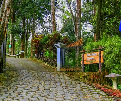 https://imgcld.yatra.com/ytimages/image/upload/t_hotel_yatra_city_desktop/v1564063823/Hotel/Munnar/00001237/Forest_Haven_Resort_d6S7ap.jpg