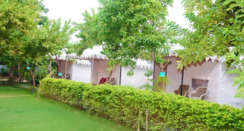The Jungle Camp -Wildlife Resort, Sawai Madhopur 2