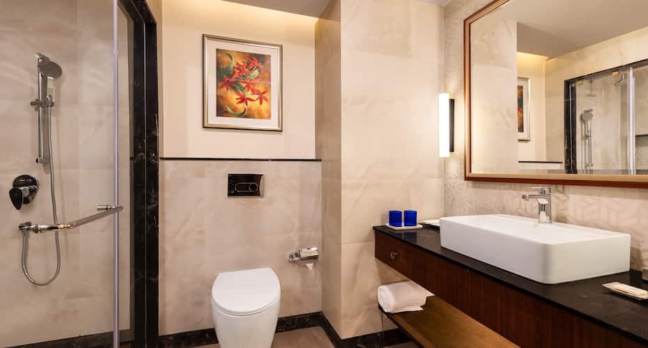 Fortune Resort Kalimpong, Kalimpong 2