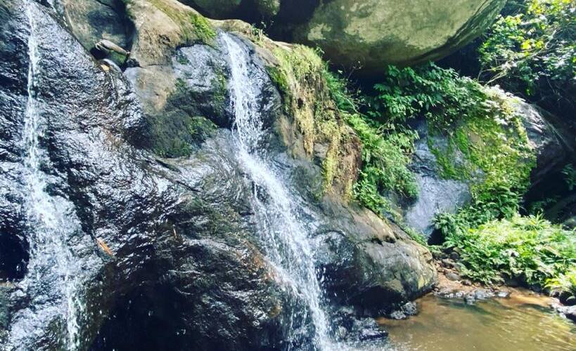 Coffee Valley Resort, Vagamon 3