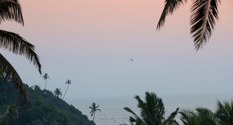 Stone Wood Beach Resort and Club, Vagator Beach, Goa 5