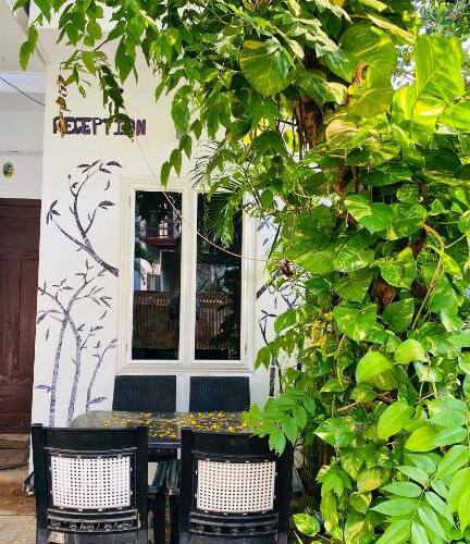 Whiteshore Beach Homestay, Alleppey 2