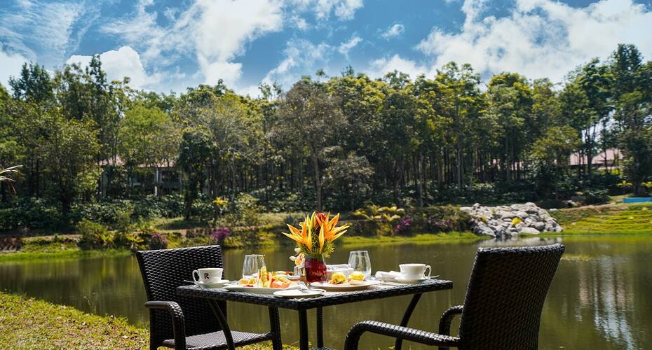 Rosetta by Ferns, Sakleshpur 5