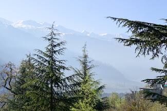 Guru Chhaya Cottages, Manali 5