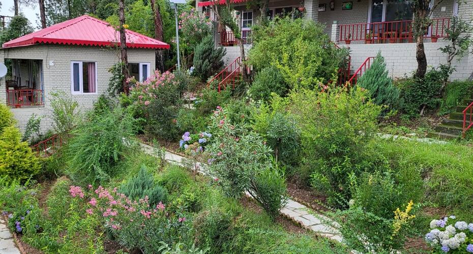 Majkhali Woods, Ranikhet by Himalayan Eco Lodges, Ranikhet 1