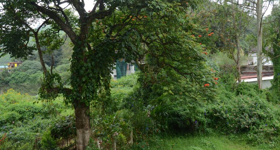 Sisiram Cottage Munnar Book This Hotel At The Best Price Only
