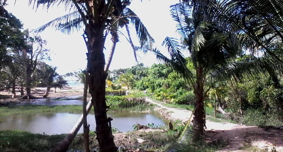 Deep Sea Resort Neil Price, Reviews, Photos & Address