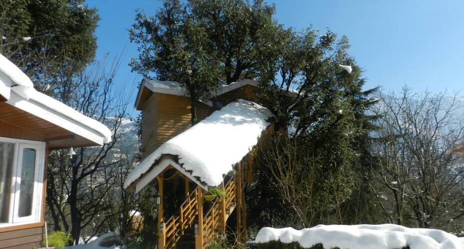 Tree House Cottages Manali Price Reviews Photos Address Manali tree house cottages, kullu is enclosed within the serene ambiance of mountains and trees. tree house cottages manali price