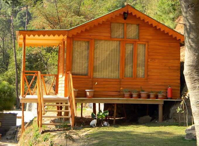 Pinewood Cottage Kasauli Price Reviews Photos Address