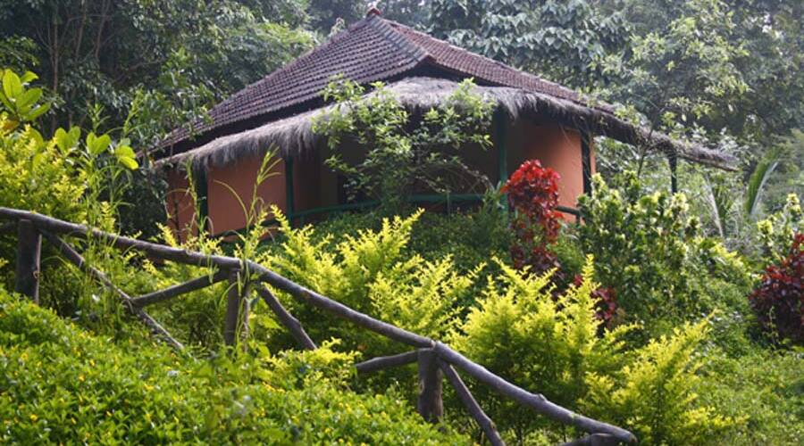Hornbill River Resort Dandeli Book This Hotel At The Best Price