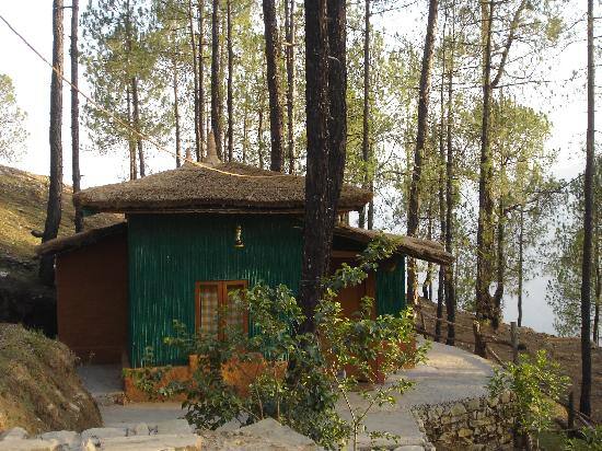 Chestnut Grove Himalayan Lodge Chaukori Book This Hotel At The