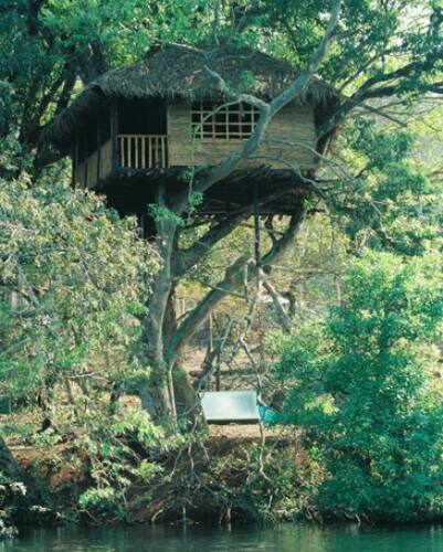 Hornbill River Resort Dandeli Book This Hotel At The Best Price