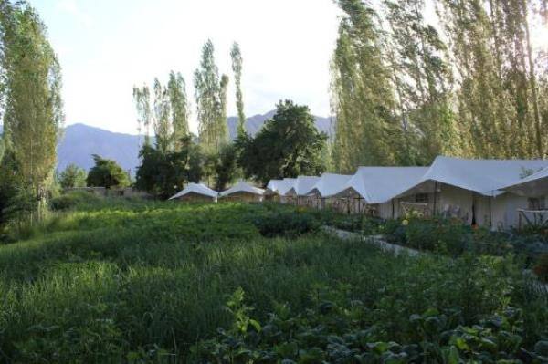 Mystique Meadows Swiss Cottages Nubra Valley Book This Hotel At