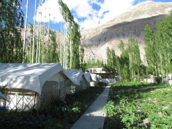 Mystique Meadows Swiss Cottages Nubra Valley Book This Hotel At