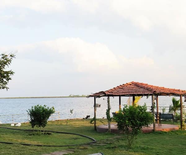 Luxury Resorts near Palampur, Kangra - Top Resorts For Couples & Family -  Justdial | Jan 2024