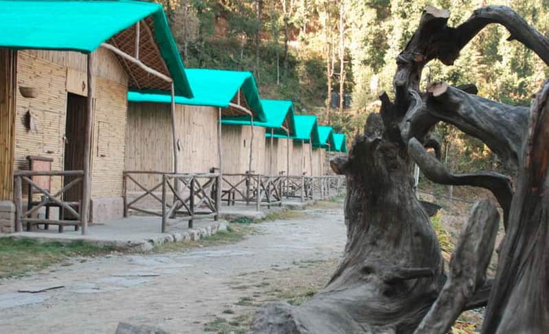 Camp Mashobra Greens Shimla Price Reviews Photos Address