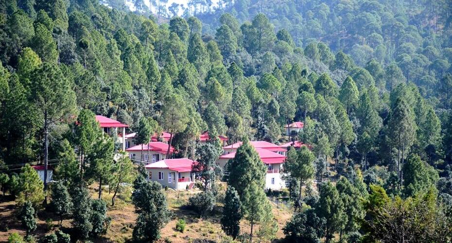 Majkhali Woods, Ranikhet by Himalayan Eco Lodges, Ranikhet 2