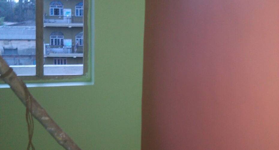 Btm Homestay, Bangalore 4